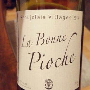 La Bonne Pioche - Michel Guignier - Michel Guignier 