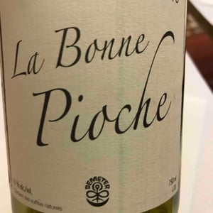 La Bonne Pioche - Michel Guignier - michel-guignier