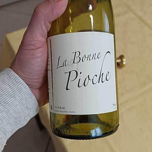 Michel Guignier - Michel Guignier - La Bonne Pioche