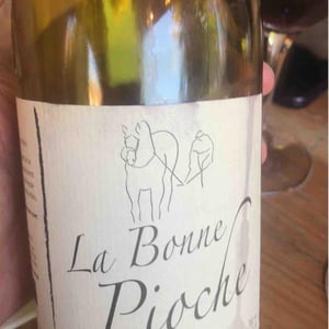 Michel Guignier - Michel Guignier - La Bonne Pioche