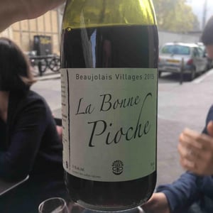 La Bonne Pioche - Michel Guignier - Michel Guignier 