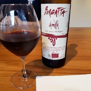 La Borgatta - Cascina Borgatta - maria-luisa-barizzone-emilio-oliveri