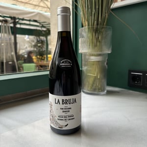 La Bruja de Rozas - Comando G Viticultores - fernando-garcia-daniel-gomez-jimenez-landi