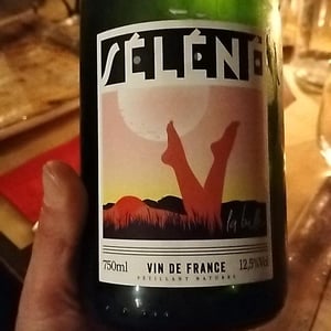 La Bulle - Séléné - Sylvère Trichard -2022
