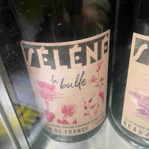 La Bulle - Séléné - Sylvère Trichard -2022