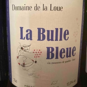 Une bulle de l’air - Domaine de l'R - Frédéric Sigonneau 