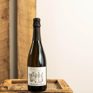 La Bulle de L'Ouest - Braud Vigneron - apolline-et-julien-braud-y2