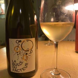 Le Facteur Sur Le Vélo - Fabien Brutout - La Bulle du Facteur