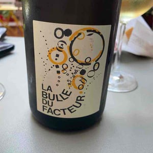 La Bulle du Facteur - Le Facteur Sur Le Vélo - Fabien Brutout