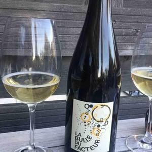 Domaine de Beaumont - Mathieu Cosme - La Bulle du Facteur
