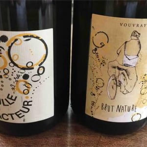 La Bulle du Facteur - Le Facteur Sur Le Vélo - Fabien Brutout 