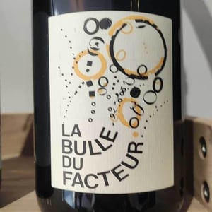 La Bulle du Facteur - Le Facteur Sur Le Vélo - fabien-brutout
