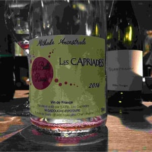 La Bulle Rouge - Les Capriades - pascal-potaire-moses-gadouche
