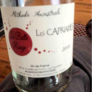 La Bulle Rouge - Les Capriades - Pascal Potaire & Moses Gadouche 