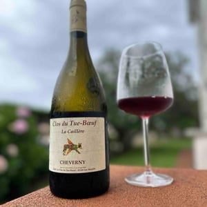 Clos du Tue-Bœuf - Zoé, Louise & Thierry Puzelat - La Caillère