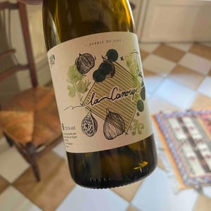 La Canoupe - Danis Dans la Vigne - danis-bessieres -2020
