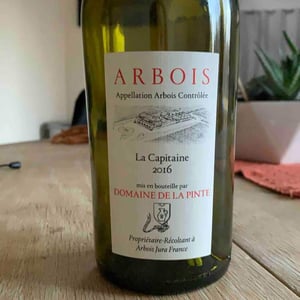 Domaine de la Pinte - Pierre Martin - La Capitaine