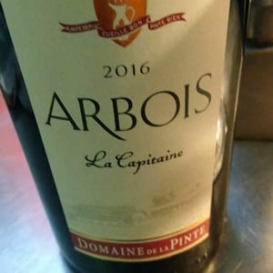 Domaine de la Pinte - Pierre Martin - La Capitaine