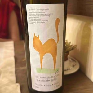 La casa del gatto - La Casa del gatto - mario-riccardi -2022
