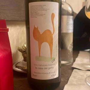 La casa del gatto - La Casa del gatto - Mario Riccardi -2022