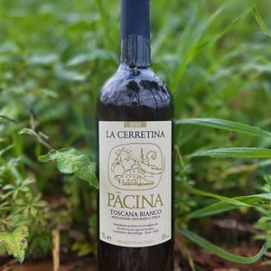 La Cerretina - Azienda Agricola Pācina - giovanna-tiezzi-stefano-borsa-maria-borsa-carlo-borsa-roberto-maccari-elisa