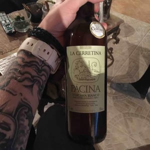 Azienda Agricola Pācina - Giovanna Tiezzi, Stefano Borsa, Maria Borsa, Carlo Borsa, Roberto Maccari, Elisabeth Racine - La Cerretina