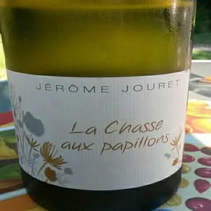 Jérome Jouret - Jérôme Jouret - La Chasse Aux Papillons