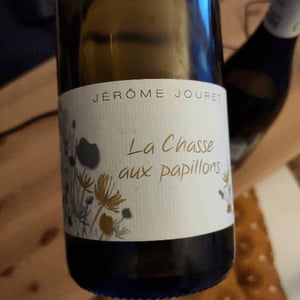 Jérome Jouret - Jérôme Jouret - La Chasse Aux Papillons
