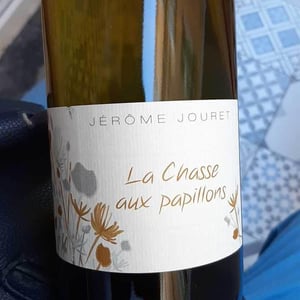 La Chasse Aux Papillons - Jérome Jouret - Jérôme Jouret 
