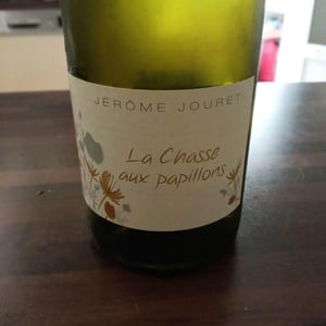 La Chasse Aux Papillons - Jérome Jouret - Jérôme Jouret 