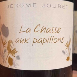 La Chasse Aux Papillons - Jérome Jouret - jerome-jouret