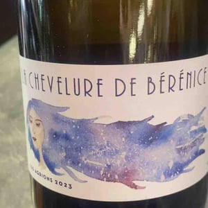 La chevelure de berenice - Domaine de La Bruge - Les Agrions - Mathieu & Quentin ROBERT -2023