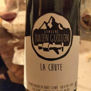 La Chute - Domaine Julien Guillon - Julien Guillon 