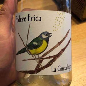 La Cinciallegra - Podere Erica - neal-jan-dempsey-marco-giordano-pierpaolo-chelo -2020