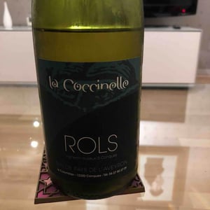 Joël & Patrick Rols - Joël & Patrick Rols - La Coccinelle