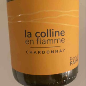 La Colline En Flamme - Domaine des Pothiers - Denise, Georges & Romain Paire 