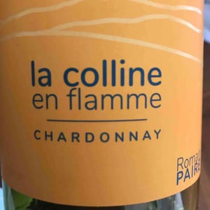 Domaine des Pothiers - Denise, Georges & Romain Paire - La Colline En Flamme