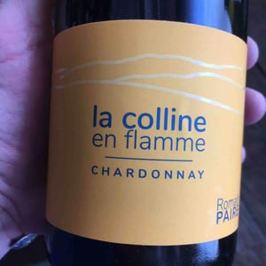 La Colline En Flamme - Domaine des Pothiers - denise-georges-romain-paire