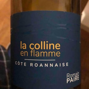 Domaine des Pothiers - Denise, Georges & Romain Paire - La Colline En Flamme