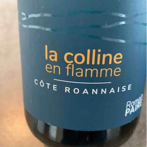 Domaine des Pothiers - Denise, Georges & Romain Paire - La Colline En Flamme