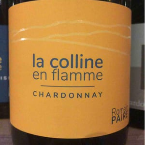 La Colline En Flamme - Domaine des Pothiers - denise-georges-romain-paire