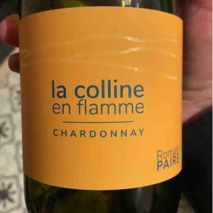 Domaine des Pothiers - Denise, Georges & Romain Paire - La Colline En Flamme