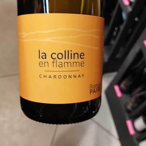 La Colline En Flamme - Domaine des Pothiers - denise-georges-romain-paire