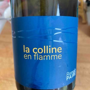 La Colline En Flamme - Domaine des Pothiers - Denise, Georges & Romain Paire 