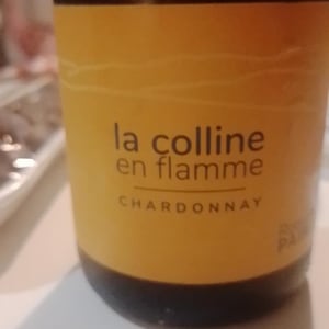 La Colline En Flamme - Domaine des Pothiers - Denise, Georges & Romain Paire 