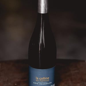 La Colline En Flamme - Domaine des Pothiers - denise-georges-romain-paire