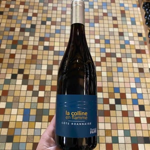 La Colline En Flamme - Domaine des Pothiers - denise-georges-romain-paire