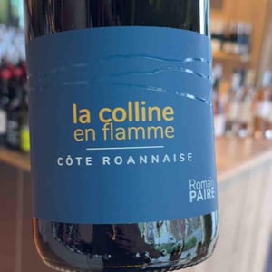 La Colline En Flamme - Domaine des Pothiers - denise-georges-romain-paire