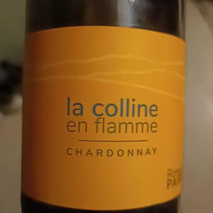 Domaine des Pothiers - Denise, Georges & Romain Paire - La Colline En Flamme