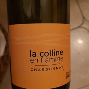 Domaine des Pothiers - Denise, Georges & Romain Paire - La Colline En Flamme